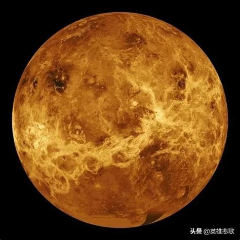 金星的意思|金星（太阳系八大行星之一）